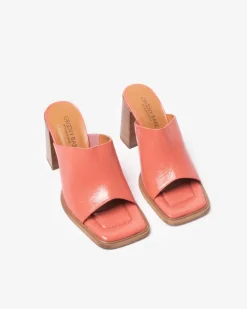 ABBA ROSA