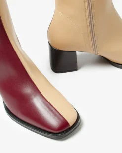 DAISY BORDEAUX-CREMA