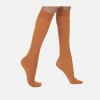 JENNIFER GAMBALETTO APRICOT