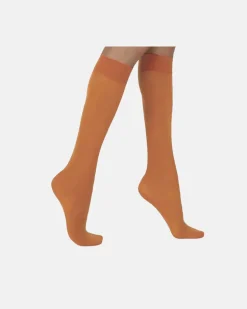 JENNIFER GAMBALETTO APRICOT