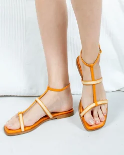 SAFFIER ARANCIONE