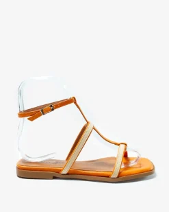 SAFFIER ARANCIONE