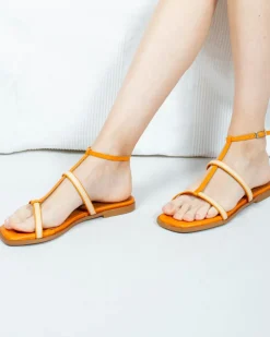 SAFFIER ARANCIONE