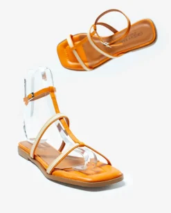 SAFFIER ARANCIONE