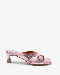 WOR ROSA